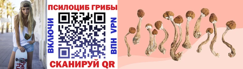 KRAKEN онион  что такое наркотик  Шатура  Псилоцибиновые грибы MAGIC MUSHROOMS 