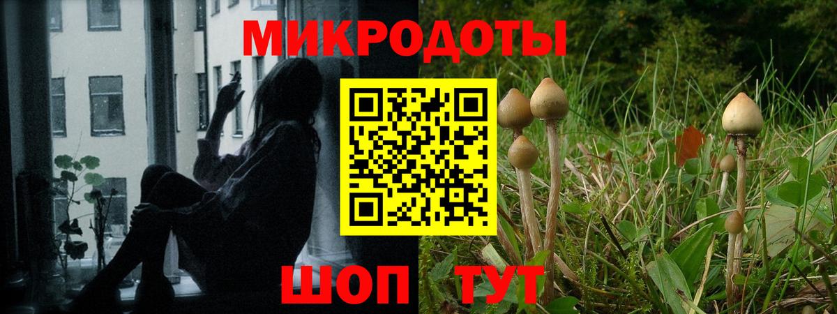 Галлюциногенные грибы GOLDEN TEACHER  Галлюциногенные грибы мухоморы  Шатура  Вход с VPN 