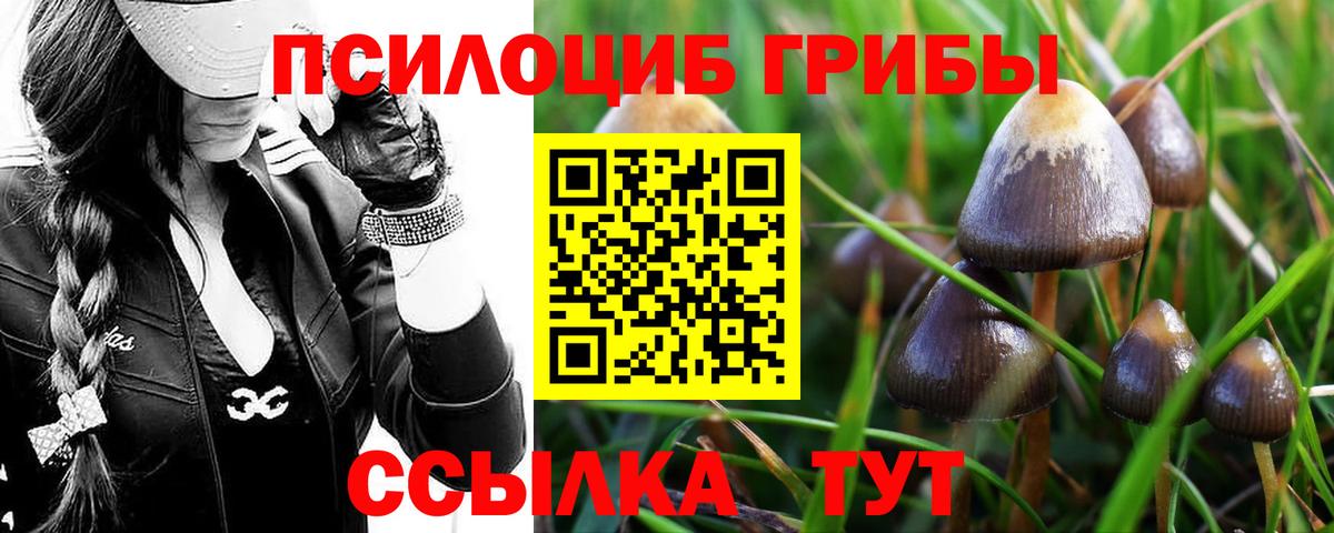 Галлюциногенные грибы MAGIC MUSHROOMS Шатура