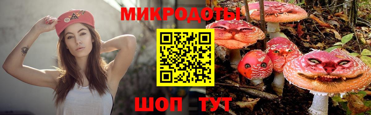 Псилоцибиновые грибы мухоморы  Шатура  Галлюциногенные грибы Psilocybe 