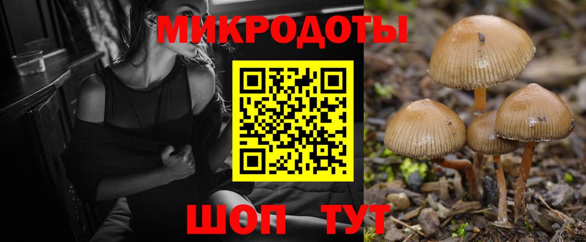 Псилоцибиновые грибы MAGIC MUSHROOMS Шатура
